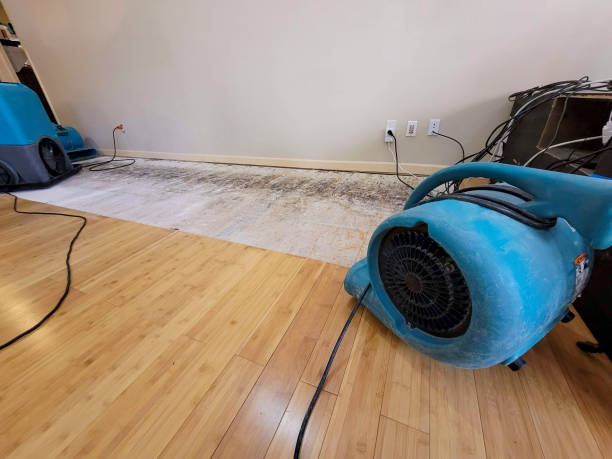 Reliable Crawl Space Water Removal contractor in Franklin, NC by Hirex Water Damage