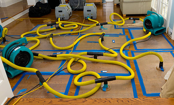 Professional Crawl Space Water Removal technician working in Franklin, NC
